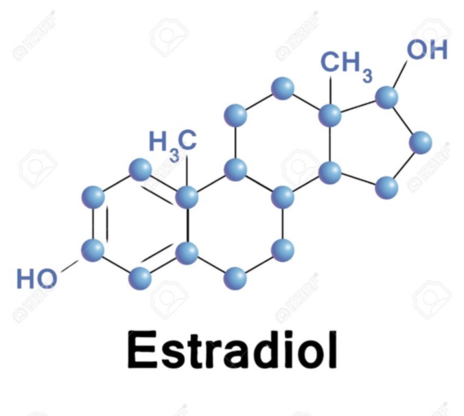 estradiol